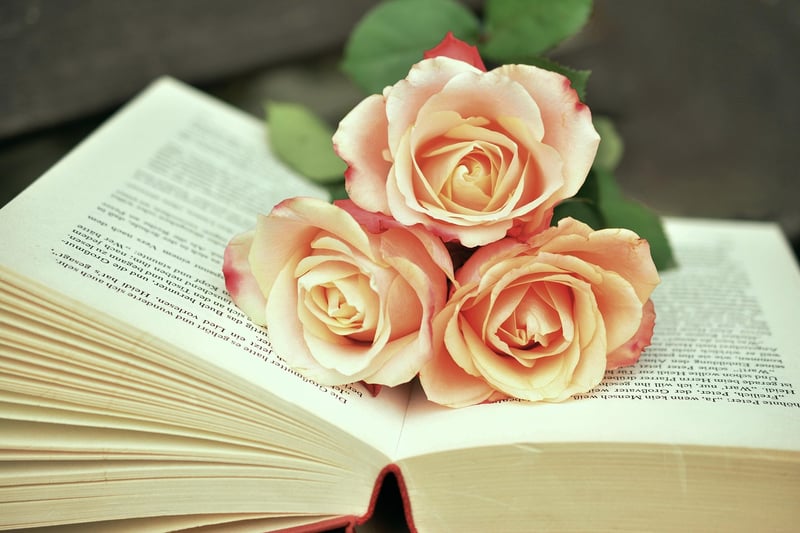 Books and Knowledge